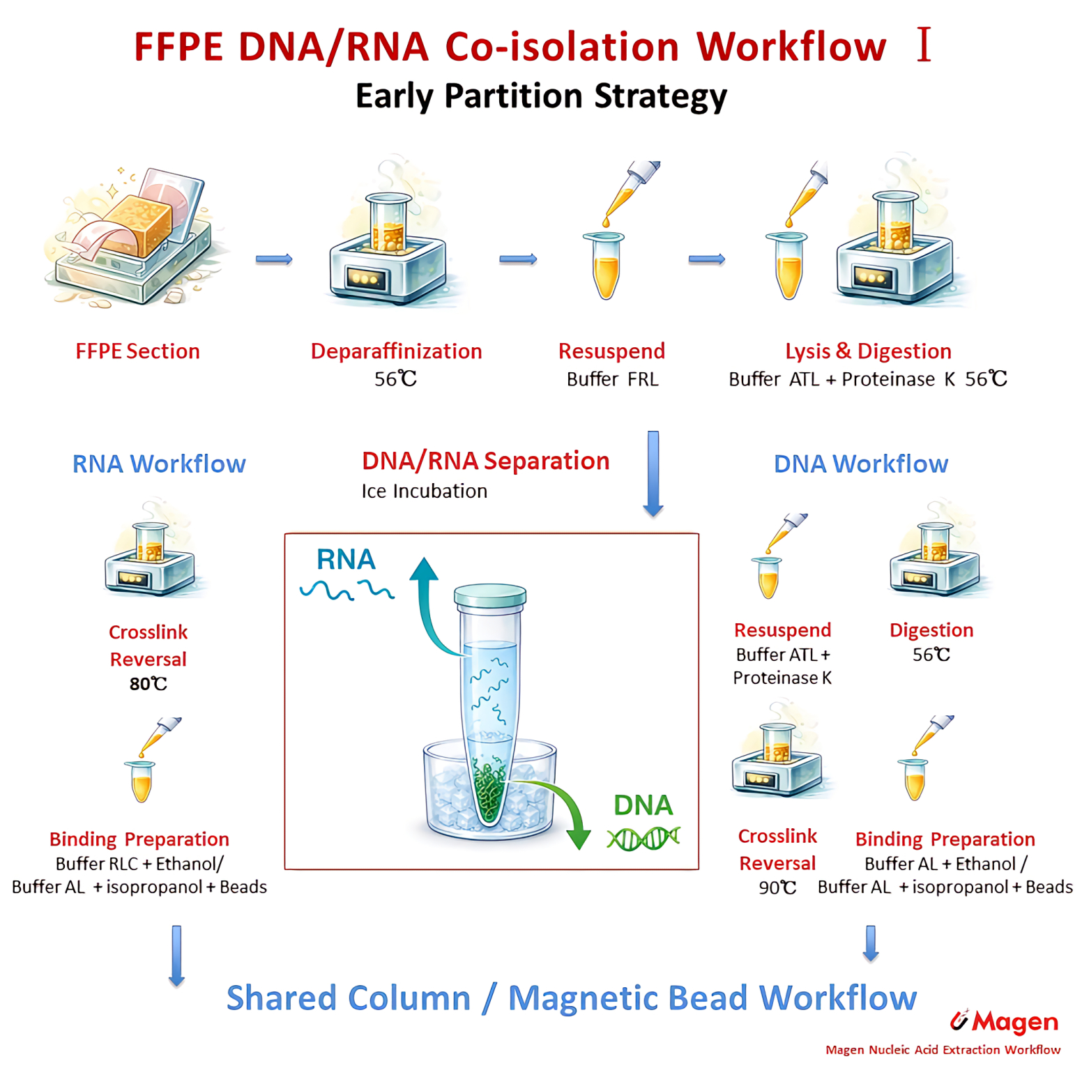 FFPE DNA RNA coextraction workflow